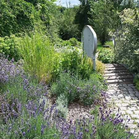 Winkelvoss * איינבק