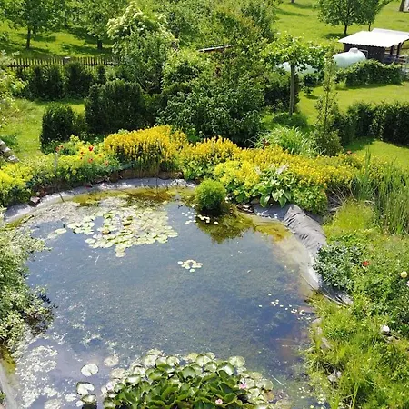 אורחן Winkelvoss איינבק