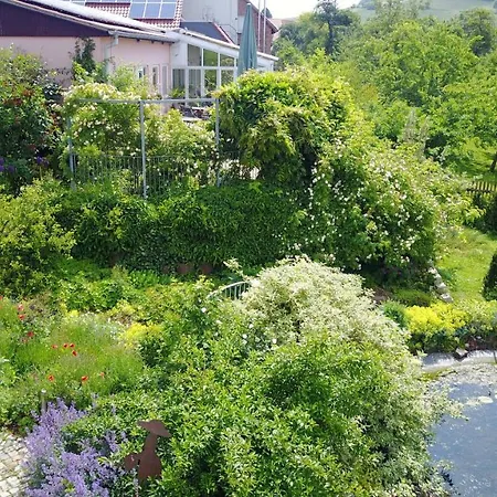 Winkelvoss איינבק