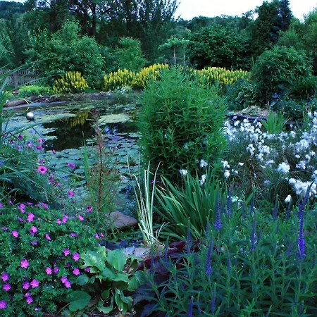 Winkelvoss אורחן *